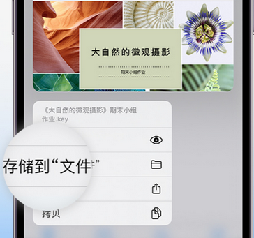 拜城apple维修中心分享iPhone文件应用中存储和找到下载文件