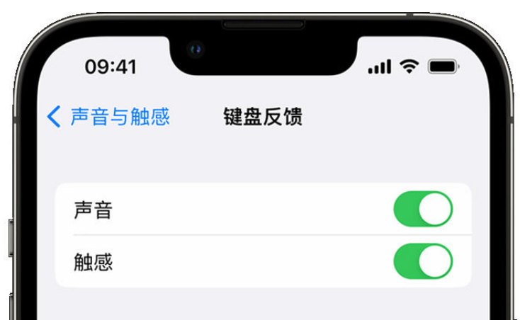 拜城苹果手机维修分享iPhone 14触感键盘使用方法 