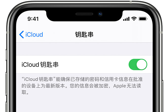 拜城苹果手机维修分享在 iPhone 上开启 iCloud 钥匙串之后会储存哪些信息 