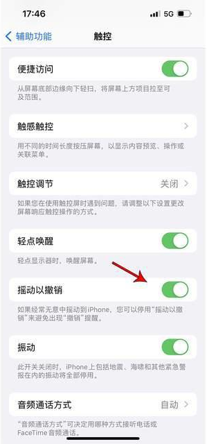 拜城苹果手机维修分享iPhone手机如何设置摇一摇删除文字 